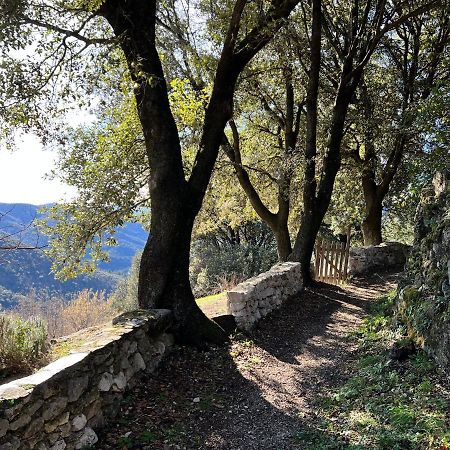 Les Gites D'Ardaillers Valleraugue Buitenkant foto