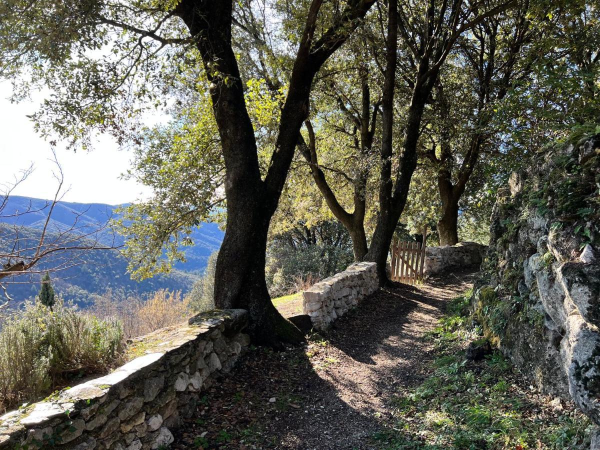 Les Gites D'Ardaillers Valleraugue Buitenkant foto