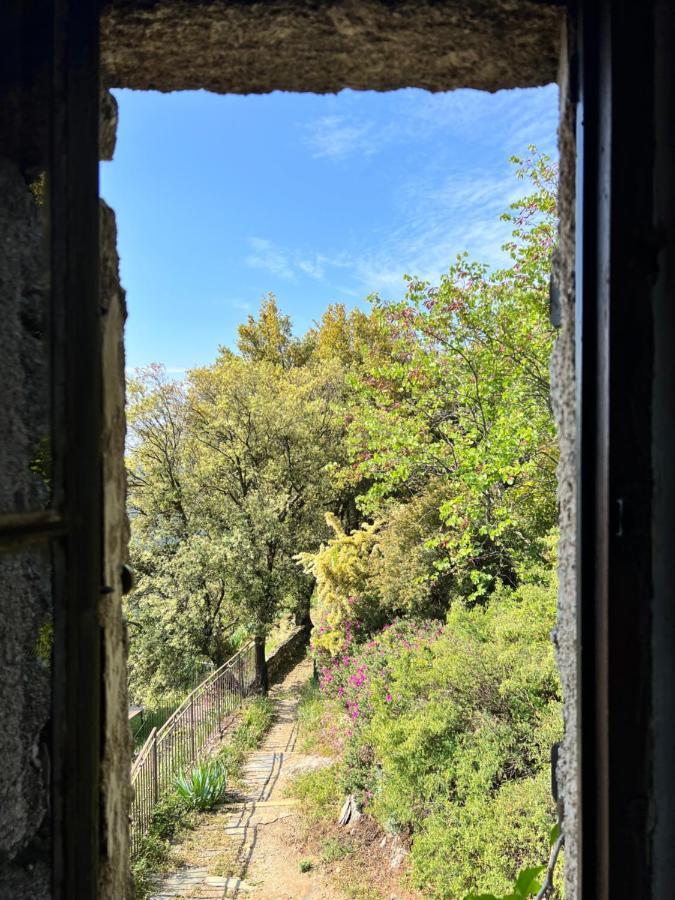 Les Gites D'Ardaillers Valleraugue Buitenkant foto