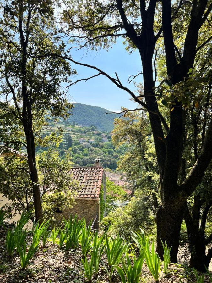 Les Gites D'Ardaillers Valleraugue Buitenkant foto