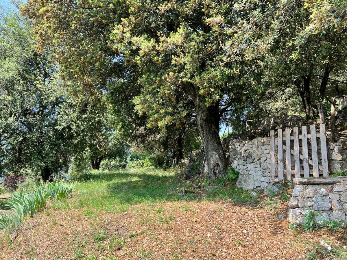 Les Gites D'Ardaillers Valleraugue Buitenkant foto